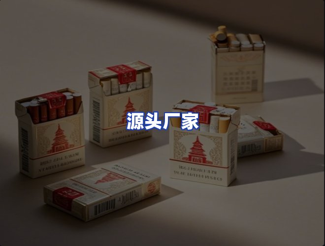 专业团队